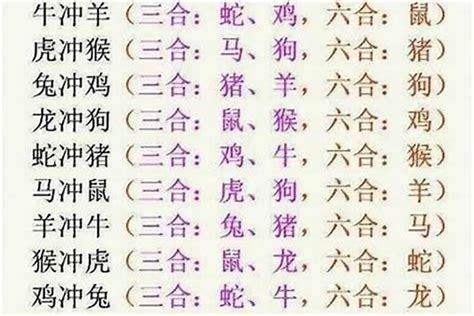 生肖六合查詢|12生肖